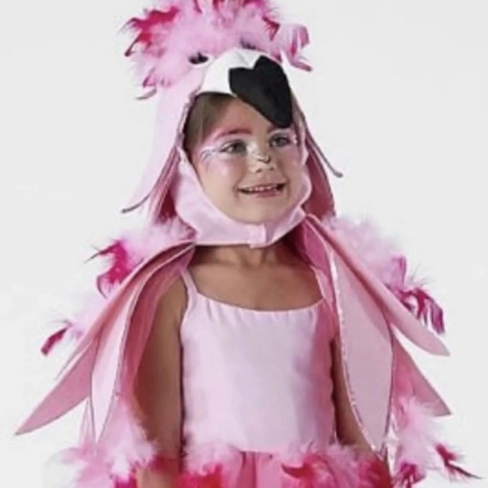 Pottery Barn Kids Pink Flamingo Costume